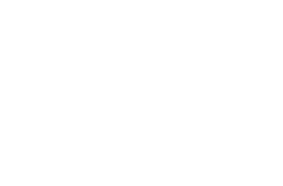 Cerveja Spaten